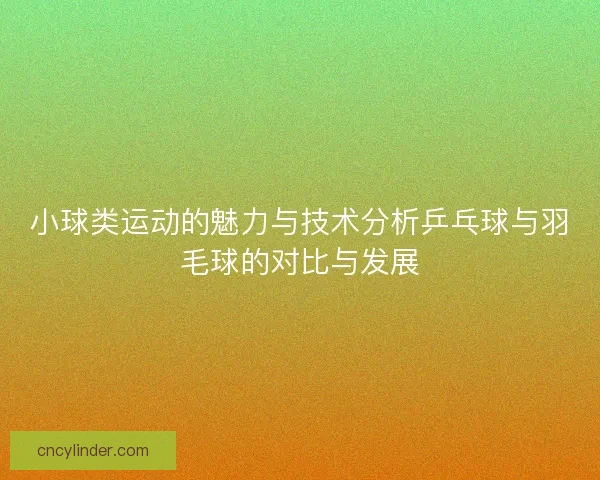 小球类运动的魅力与技术分析乒乓球与羽毛球的对比与发展
