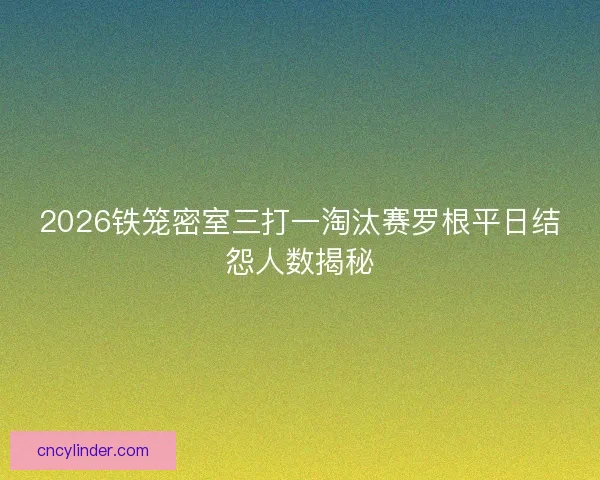2026铁笼密室三打一淘汰赛罗根平日结怨人数揭秘
