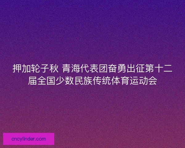 押加轮子秋 青海代表团奋勇出征第十二届全国少数民族传统体育运动会 押加轮子秋 青海代表团奋勇出征第十二届全国少数民族传统体育运动会