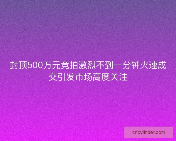 封顶500万元竞拍激烈不到一分钟火速成交引发市场高度关注